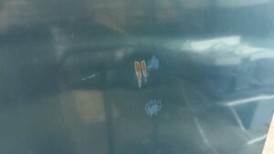 6763 Traulsen RHT332NPUT FHG cooler 4 6763 Traulsen RHT332NPUT-FHG Refrigerator 6763 Traulsen RHT332NPUT-FHG cooler (4)